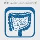 طرح مهر به شکل روده انسان